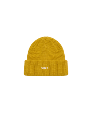 FUTURE BEANIE