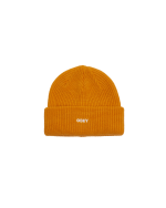 FUTURE BEANIE